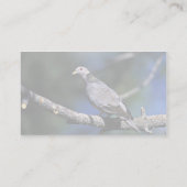 バンド後につかれたハト 名刺 (裏面)