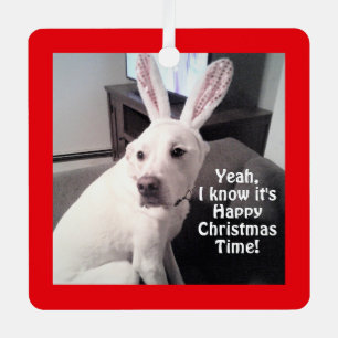 バンニおもしろいーの耳を着たかわいい白犬クリスマス メタルオーナメント
