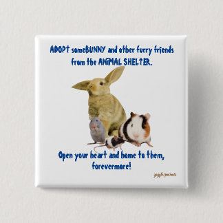 バンニや他の熱心な友人は愛情のある家を必要とする 缶バッジ