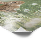 バンニーラビットダンデリオンフィールドガールズルームに座って フォトプリント            (角)