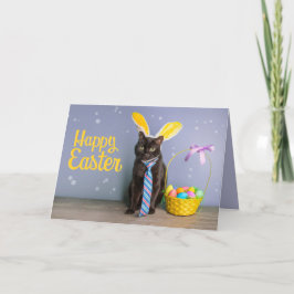 バンニー・イヤーでかわいい猫のためのハッピーイースター シーズンカード