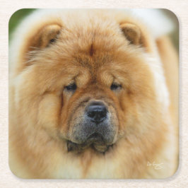 バンバチョウ海岸 スクエアペーパーコースター