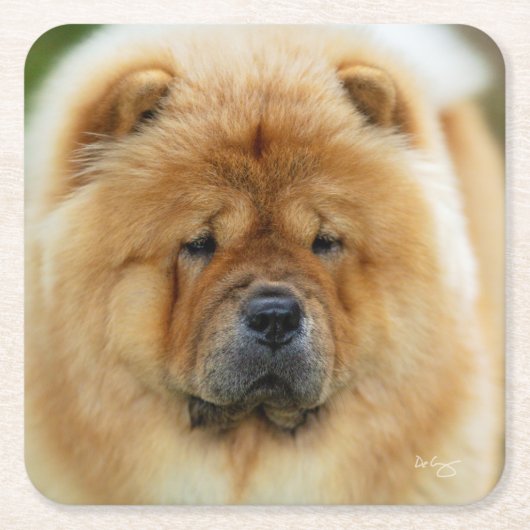 バンバチョウ海岸 スクエアペーパーコースター (正面)