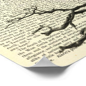 バンパイアこうもり,ゴシック,ドラキュラ,こうもり,自然 ポスター (角)