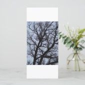 バンパイアの木 (スタンド正面)