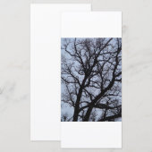 バンパイアの木 (正面/裏面)