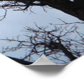 バンパイアの木 ポスター (角)