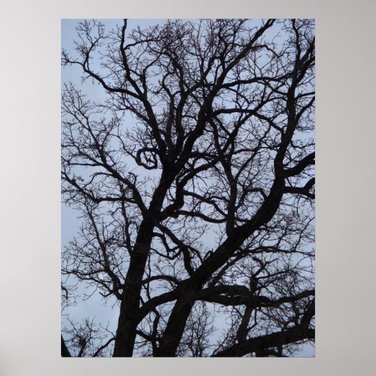 バンパイアの木 ポスター (正面)