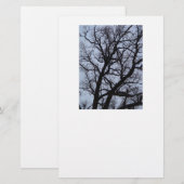 バンパイアの木 便箋 (正面/裏面)