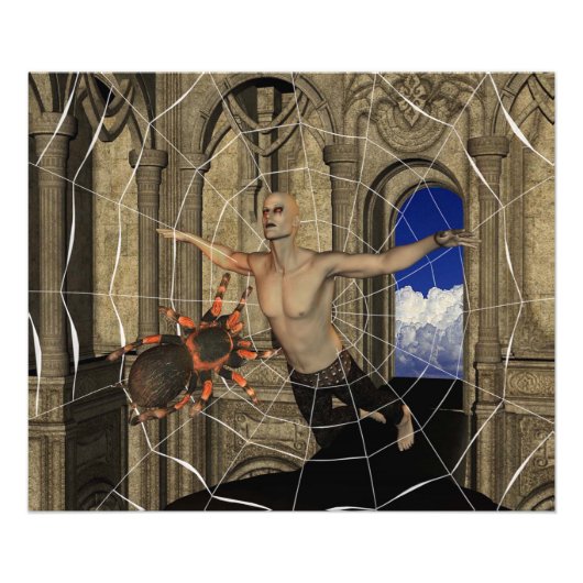 バンパイアスパイダーズくもの巣 フォトプリント            (正面)