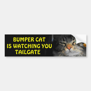 バンパーキャットがTAILGATE 34を見ている バンパーステッカー