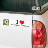 バンパーステッカーの金ラブラドール バンパーステッカー (トラック上)