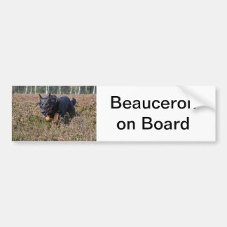 バンパーステッカーのbeauceron バンパーステッカー