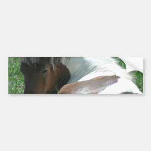 バンパーステッカーを休ませているペンキの子馬 バンパーステッカー