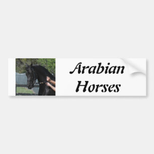 バンパーステッカー手元の黒いアラビアのスポーツの馬 バンパーステッカー