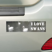バンパーステッカー白人泳ぐ、私は白鳥が大好き バンパーステッカー (車上)