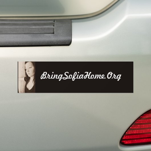 バンパーステッカー (車上)