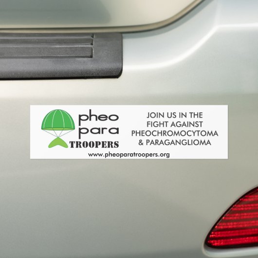 バンパーステッカー (車上)