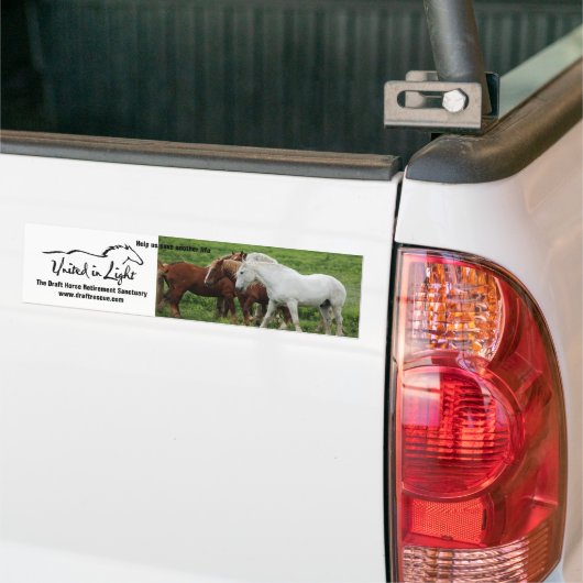 バンパーステッカー (トラック上)