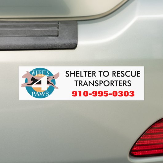 バンパーステッカー (車上)