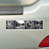 バンパーステッカー (車上)