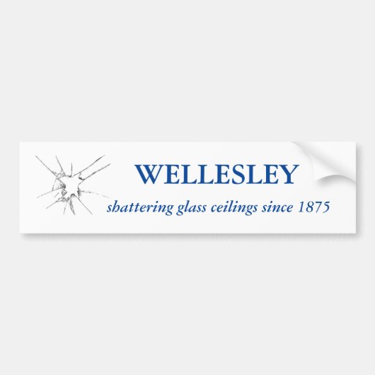 バンパーステッカー (正面)