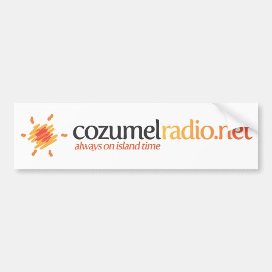 バンパーステッカー (正面)