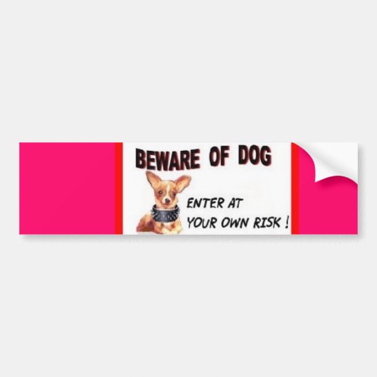 バンパーステッカー (正面)