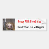 バンパーステッカー (正面)