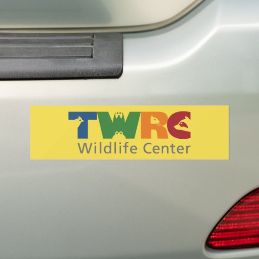 バンパーステッカー (車上)