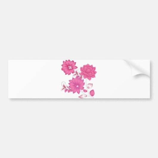 バンパーステッカー (正面)