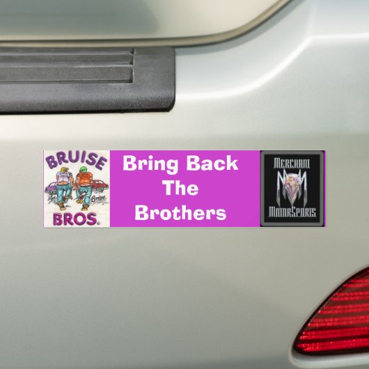 バンパーステッカー (車上)