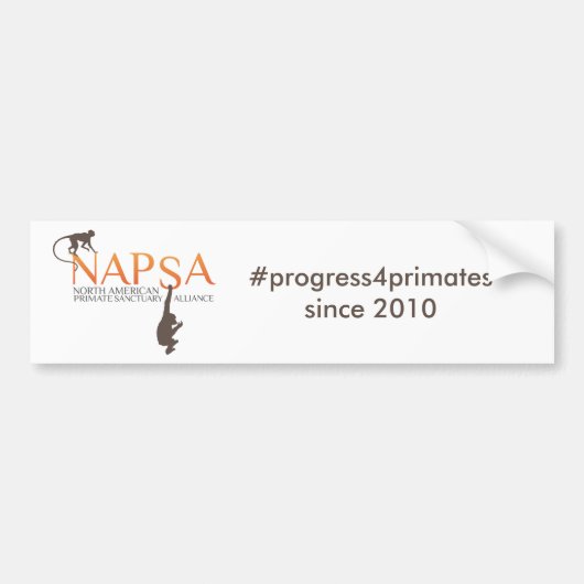 バンパーステッカー (正面)