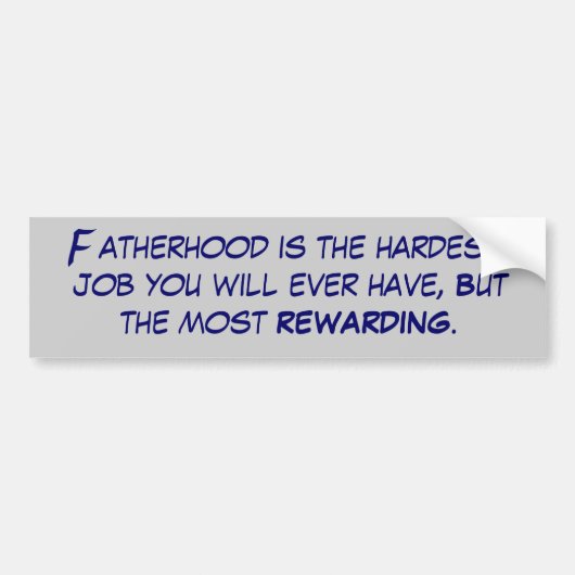 バンパーステッカー1 バンパーステッカー (正面)