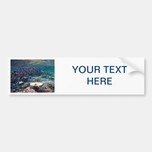 バンパーステッカー-淡いブルーの外科医の魚 バンパーステッカー (正面)