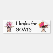 バンパーステッカー – Iブレーキ