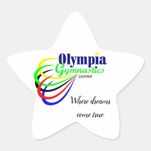 バンパーストッカー – スター 星シール (正面)