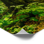 バンビと蝶と魔法の森の妖精 ポスター (角)