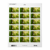 バンビと蝶と魔法の森の妖精 ラベル (フルシート)