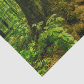 バンビと蝶の魔法林の妖精 薄葉紙 (詳細)