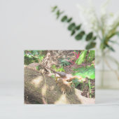 バンビラプター – 恐竜学 – のカード ポストカード (スタンド正面)