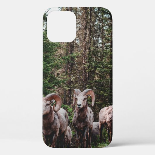 バンフのバウ・バレー・パークウェイを走りながら Case-Mate iPhoneケース (裏面)