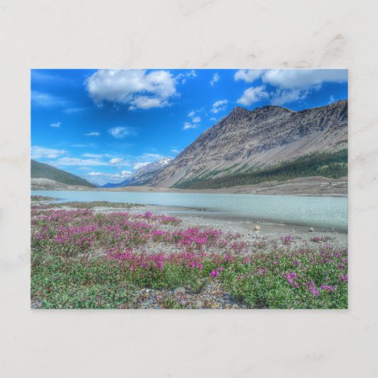 バンフのロッキー山脈で ポストカード (正面)