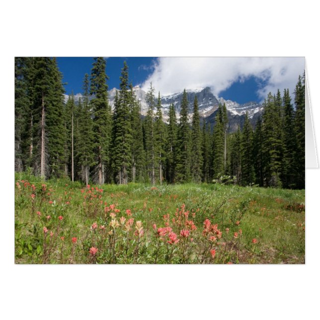 バンフフラワーズカナダ (正面横)