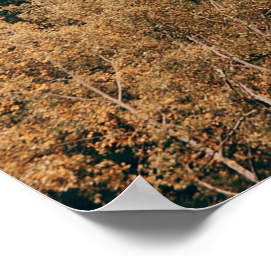 バンフ国立公園の霧の山々と森 ポスター (角)