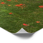 バンフ国立公園 ポスター (角)