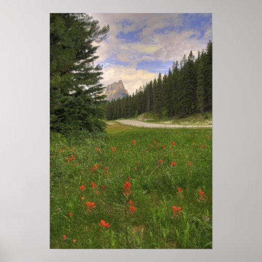 バンフ国立公園 ポスター (正面)