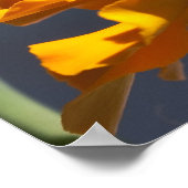 バンブレカメル飛行 ポスター (角)