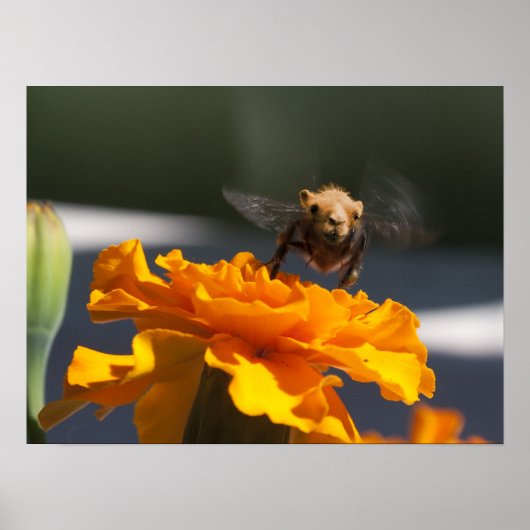 バンブレカメル飛行 ポスター (正面)