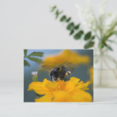 バンブローはがき ポストカード (スタンド正面)